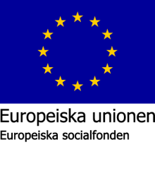 Europeiska socialfonden